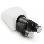 Tubus Binokular Siedentopf. Infinity