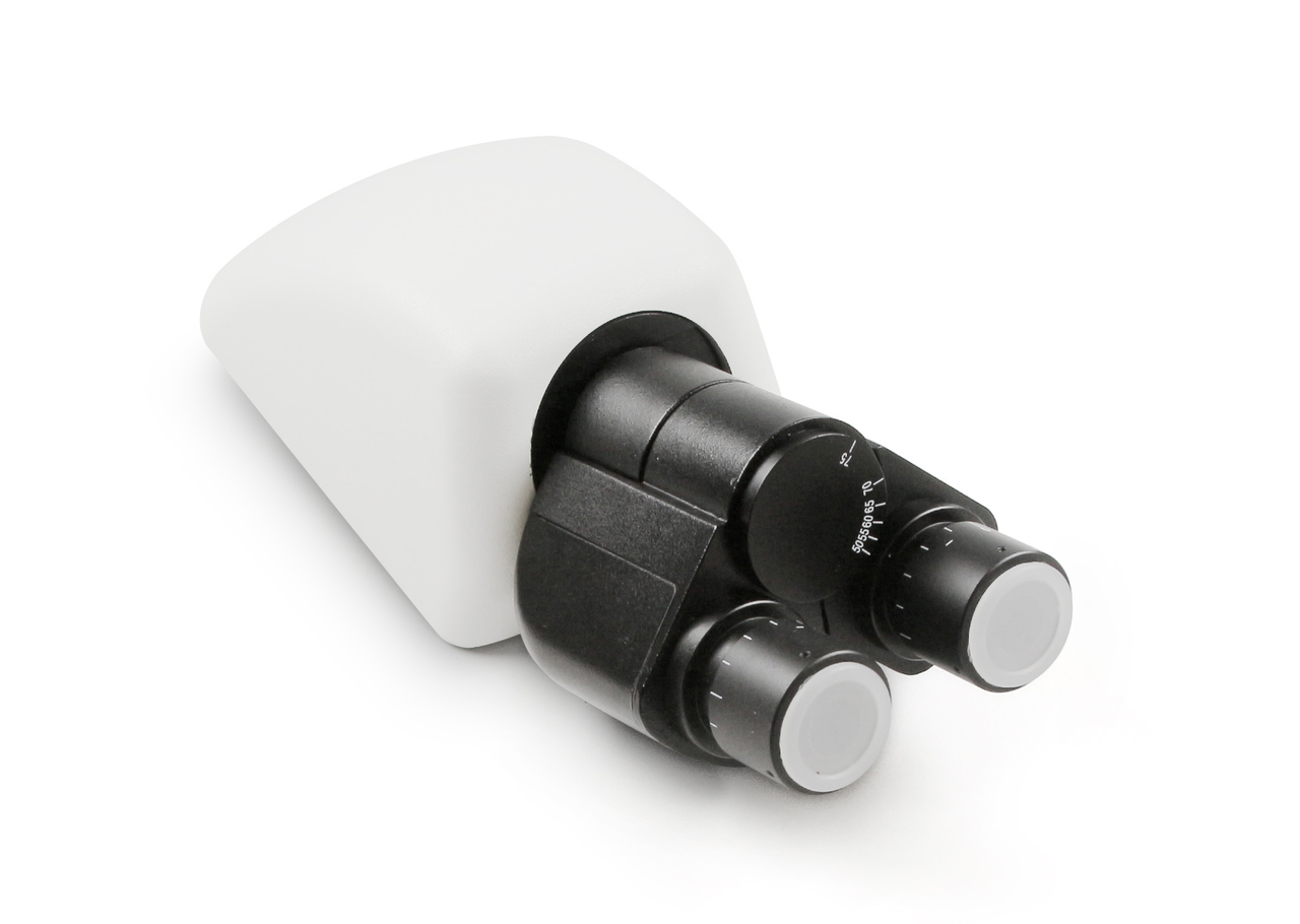 Tubus Binokular Siedentopf. Infinity