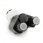 Tubus Binokular Siedentopf. Finite