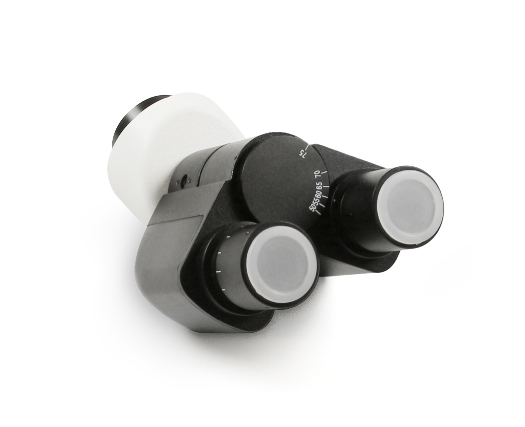 Tubus Binokular Siedentopf. Finite