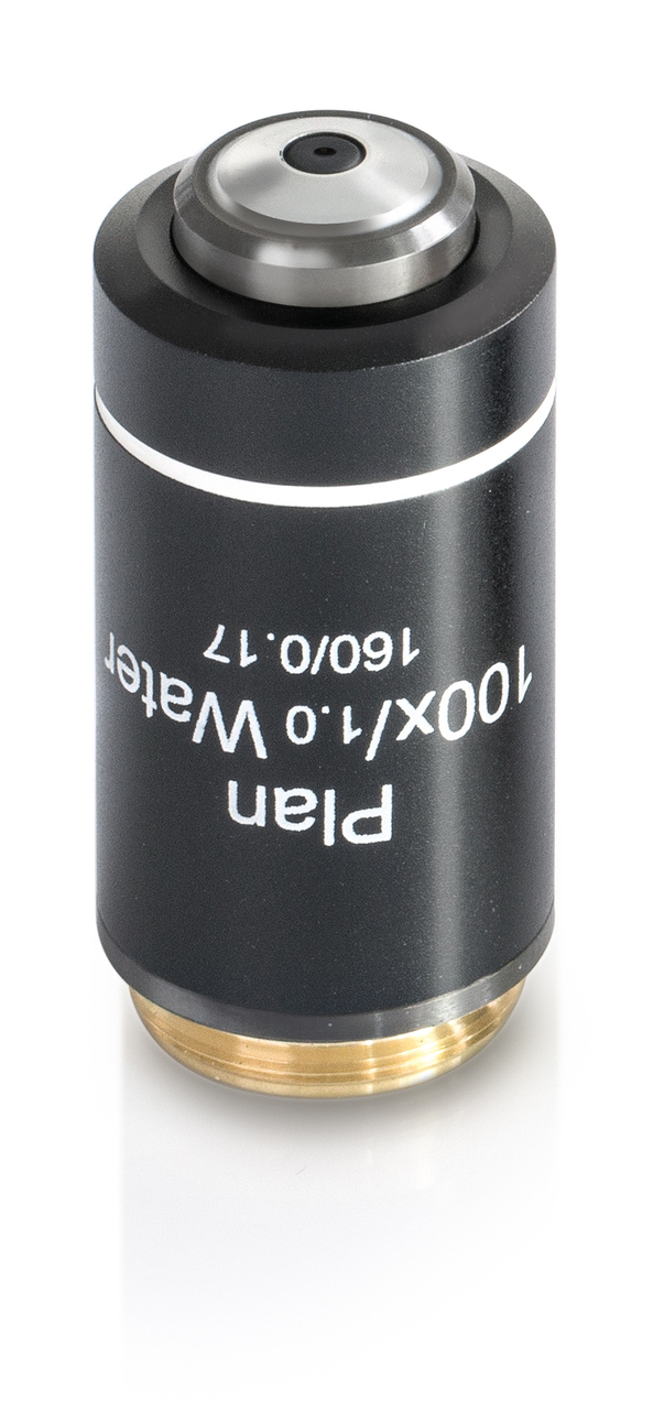 Objektiv 100x Plan Achromatisch für Wasserimmersion