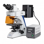 Fluoreszenzmikroskop Trinokular Inf Plan 4/10/20/40/100 | WF10x20 | 100W Hal (IL)